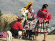 Peru mistni