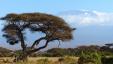 Amboseli, Lake Nakuru a Masai Mara (luxusní kempy) - Pražský Klub Tour Operator s.r.o.