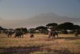 Safari v Keni Pražský Klub